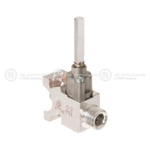 WB21X22078 GE VALVE KIT OEM