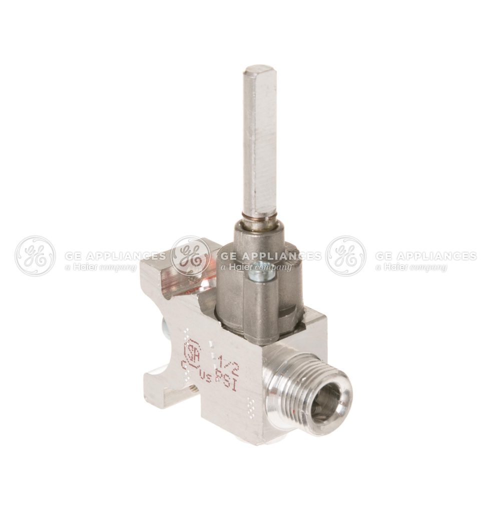 WB21X22078 GE VALVE KIT OEM