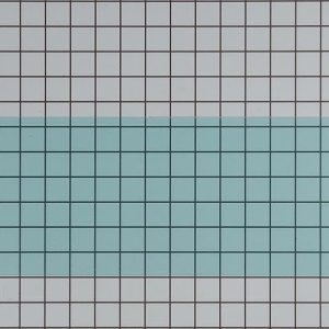 WB55X10581 GE Microwave Door Screen