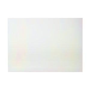 WB56T10350 GE Oven Glass Window OEM Replacement, NEW FAST SHIP Fits Many Appliance Models