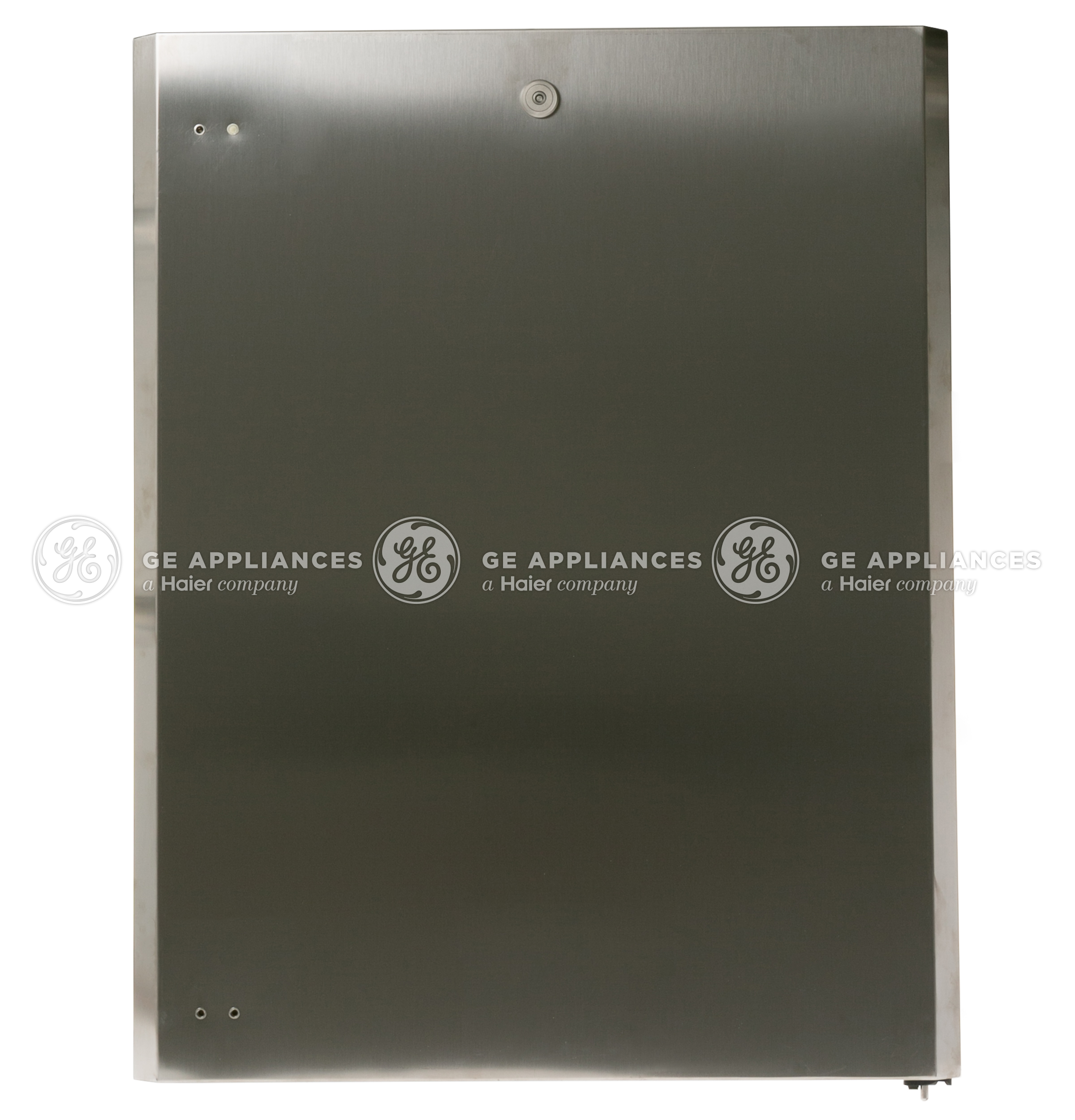 WR78X11055 GE Refrigerator Door Assembly