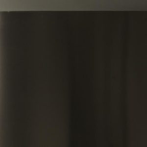 WR78X11113 GE Refrigerator Door Assembly