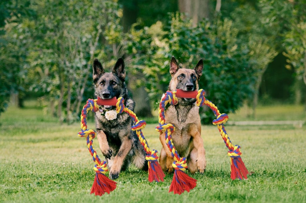 Big knots XXXL Unbreakable Dog Rope Toy for Large Breeds - BLINCOO Elite 48"