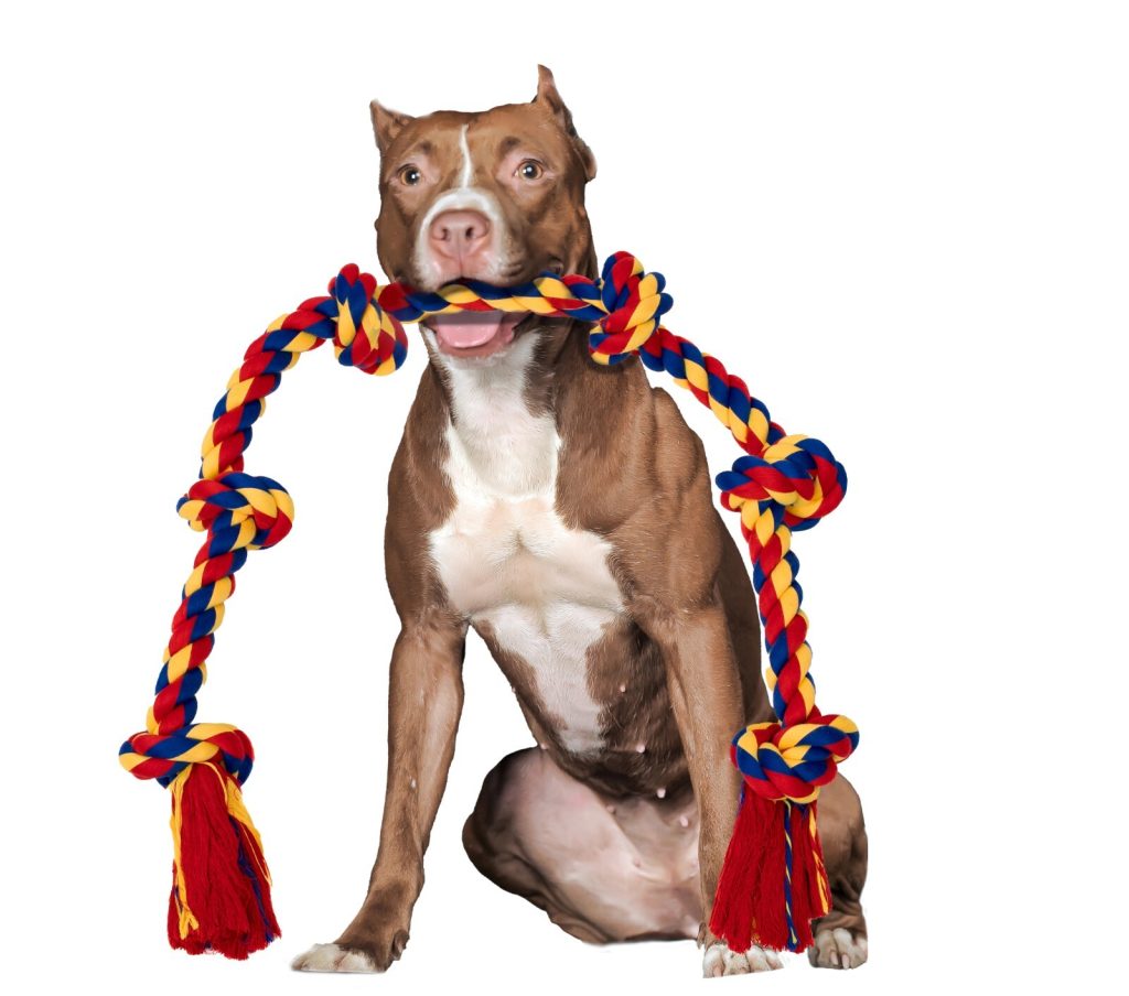 BLINCOO Dogs Rope Toys, 48" Inch 6 knots  Interactive Durable Tug of War Toy