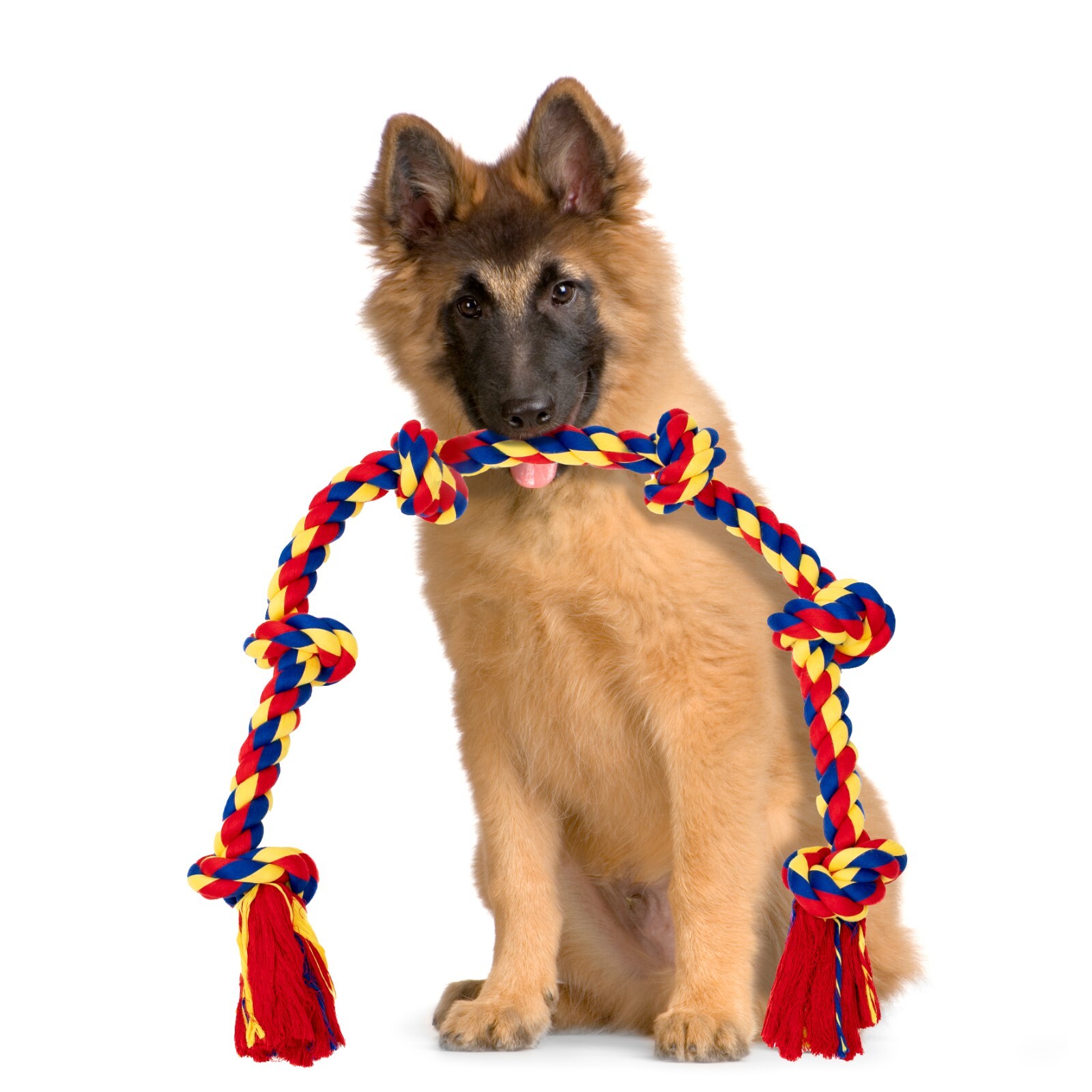BLINCOO Dogs Rope Toys, 48" Inch with 6 knots Interactive Strong Durable Tug - Image 24