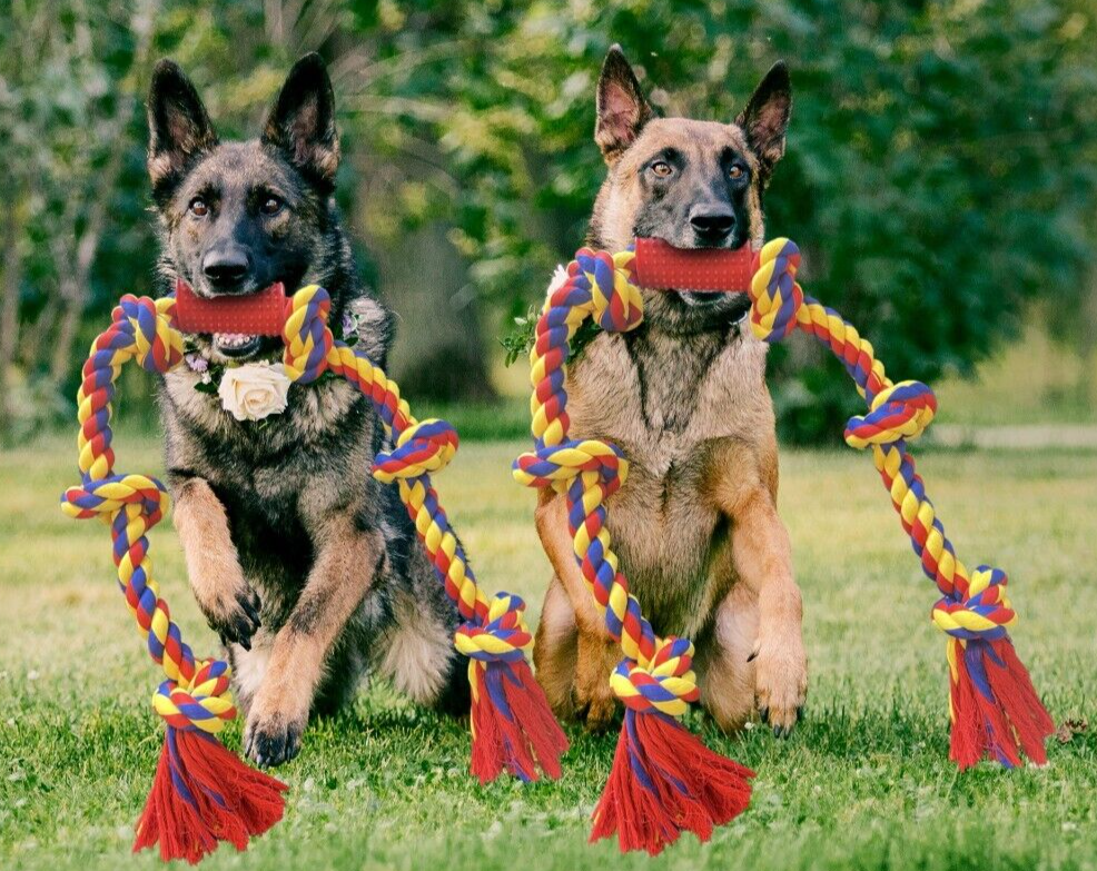 BLINCOO Dogs Rope Toys, 48" Inch with 6 knots Interactive Strong Durable Tug