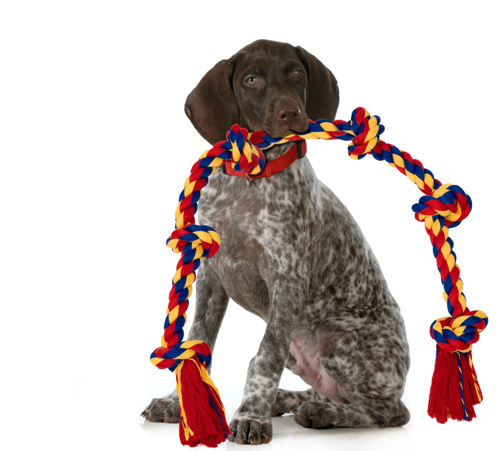 DISCONTINUED - Image 12