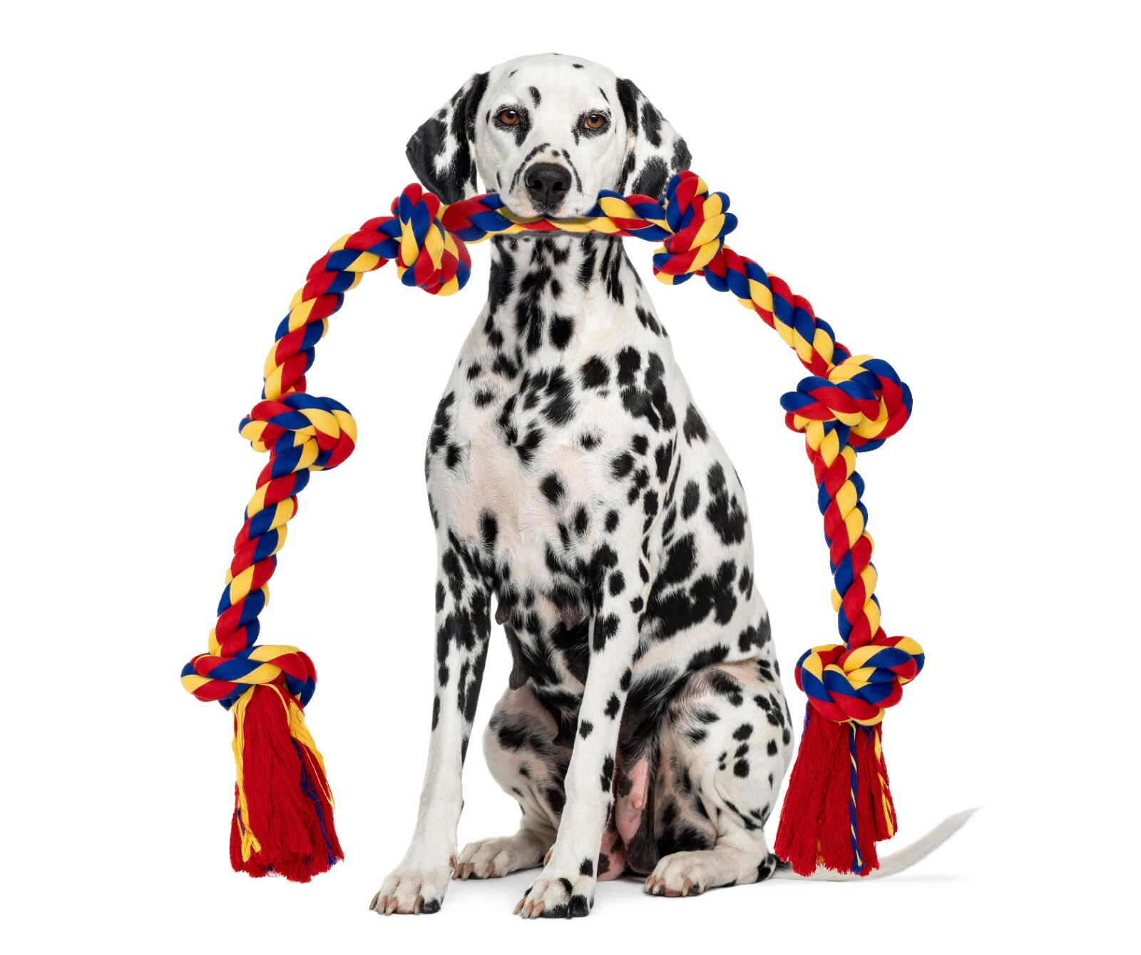 DISCONTINUED - Image 13