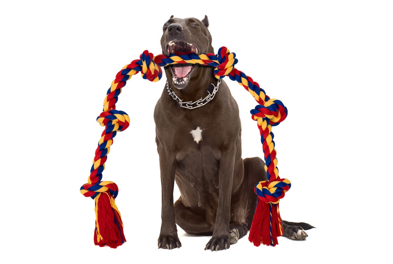 DISCONTINUED - Image 16