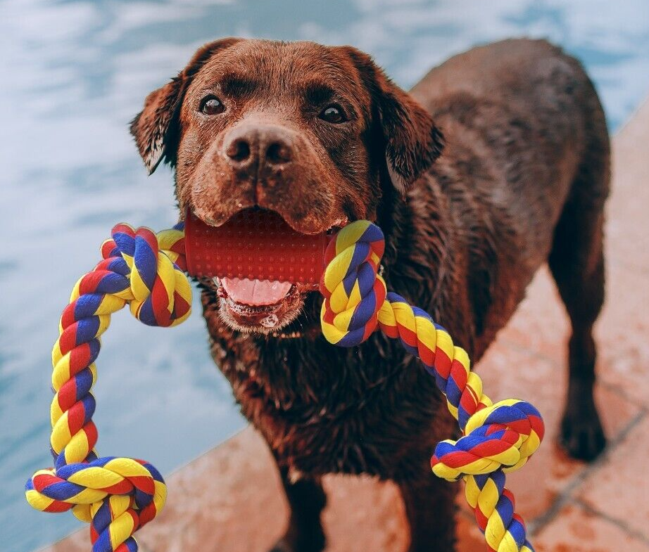 BLINCOO Dogs Rope Toys, 48" Inch with 6 knots Interactive Strong Durable Tug - Image 19