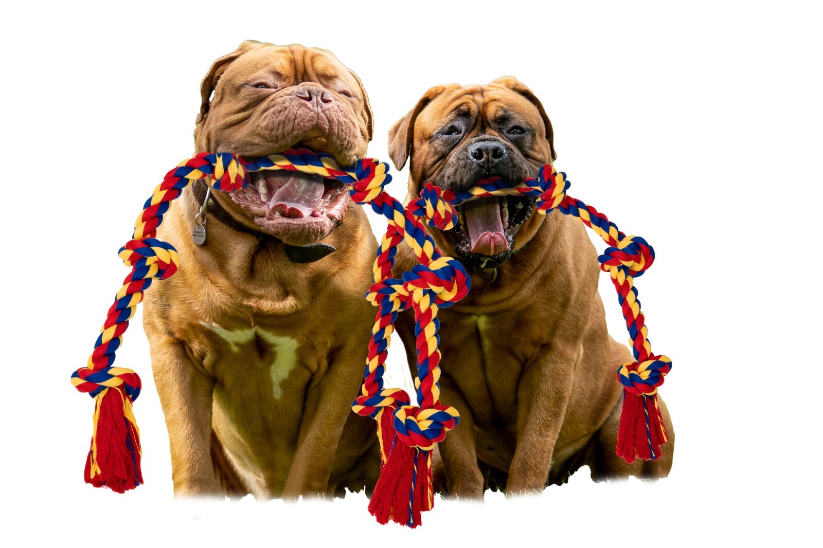 BLINCOO Dogs Rope Toys, 48" Inch with 6 knots Interactive Strong Durable Tug - Image 21