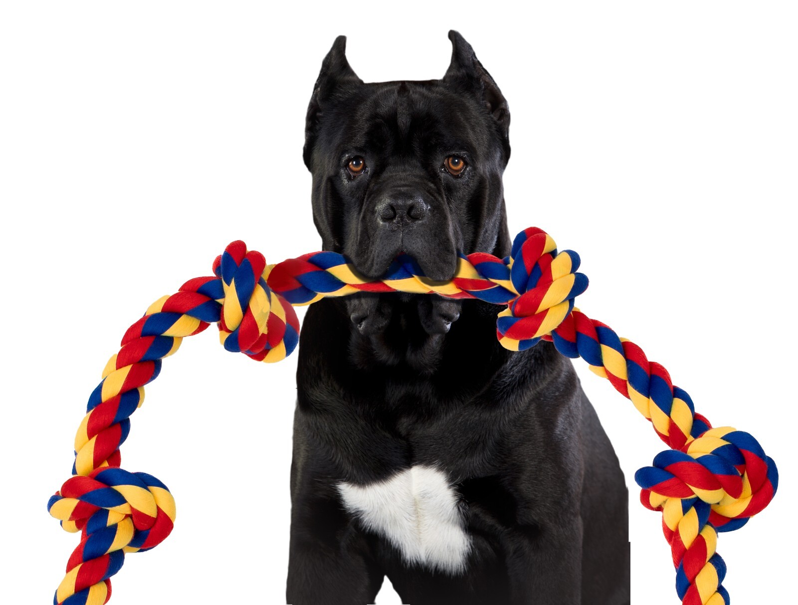 BLINCOO Dogs Rope Toys, 48" Inch with 6 knots Interactive Strong Durable Tug - Image 23
