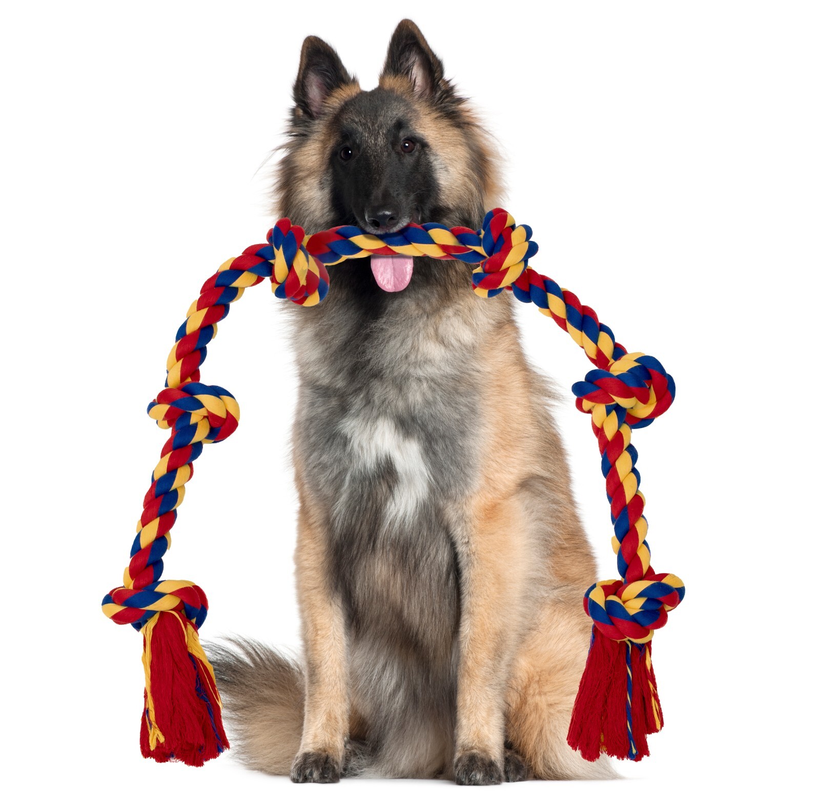 Giant Dog Rope Toy For Extra Large Dogs - 48 Inch Long 6 Knot Xxl Dog Rope - Image 12