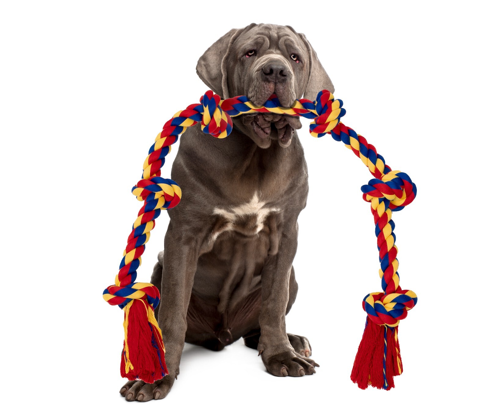 Giant Dog Rope Toy For Extra Large Dogs - 48 Inch Long 6 Knot Xxl Dog Rope - Image 15