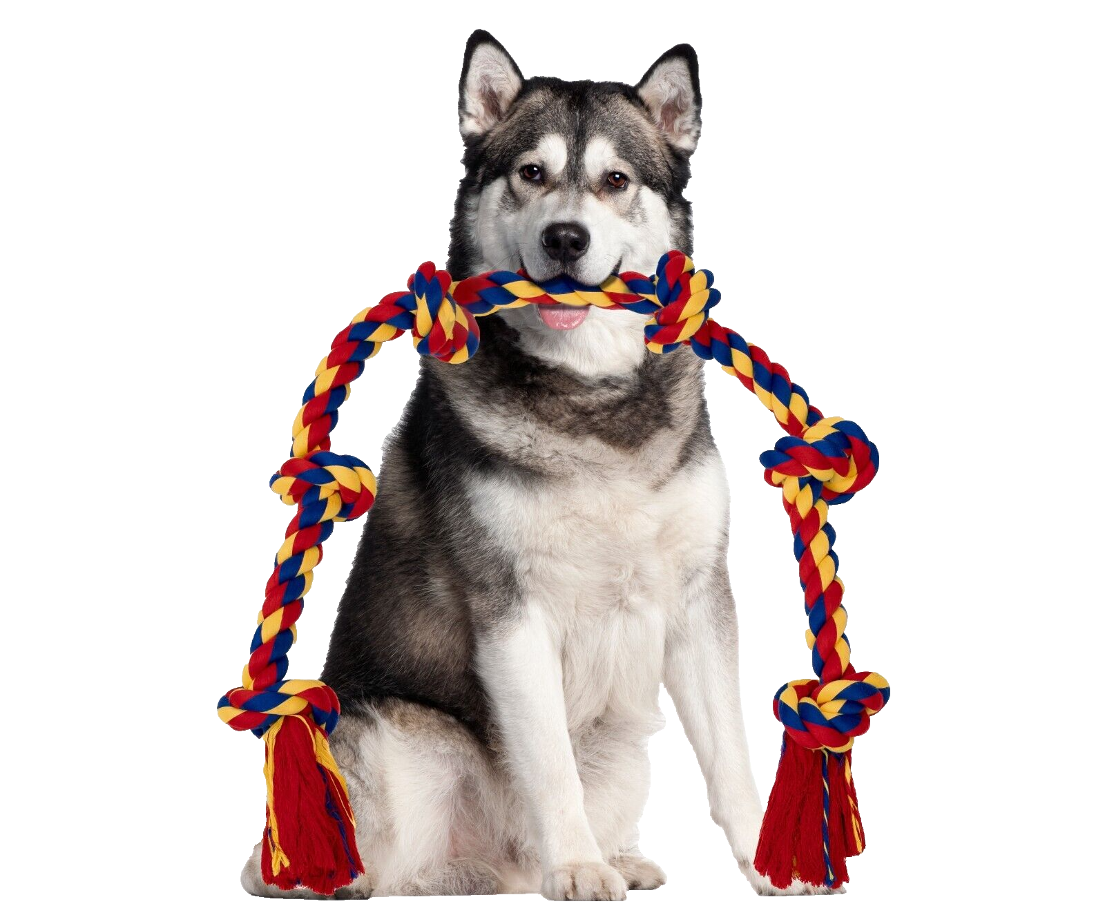 Giant Dog Rope Toy For Extra Large Dogs - 48 Inch Long 6 Knot Xxl Dog Rope - Image 4