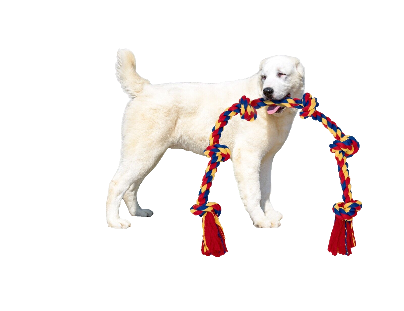 Giant Dog Rope Toy For Extra Large Dogs - 48 Inch Long 6 Knot Xxl Dog Rope - Image 7