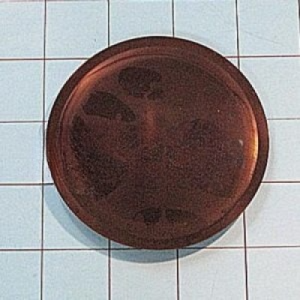 1 of 241688701 Frigidaire Refrigerator Door Seal OEM Replacement, NEW FAST SH...