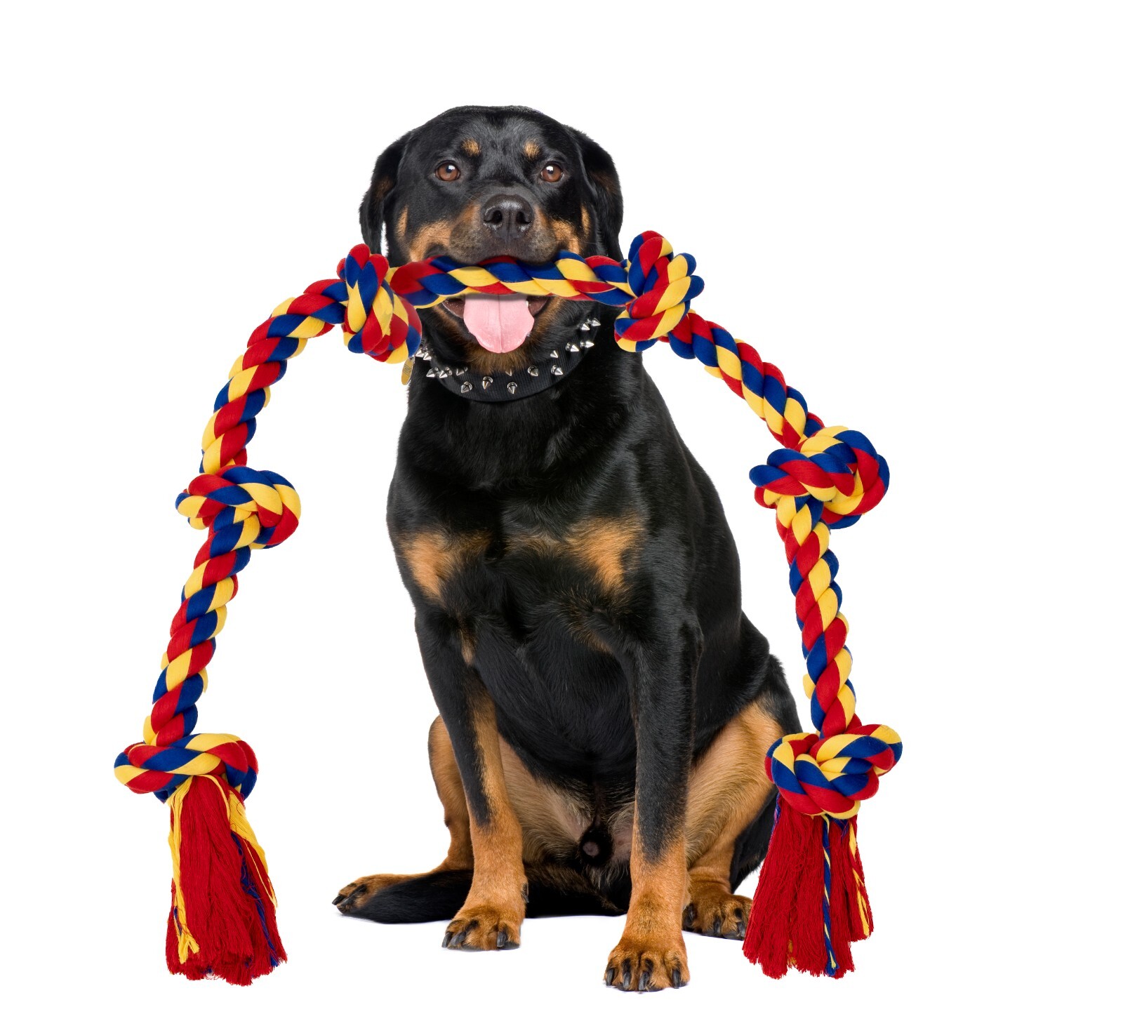 Interactive Dog Toys BLINCOO Elite 48 Inch 6 knots. - Image 11