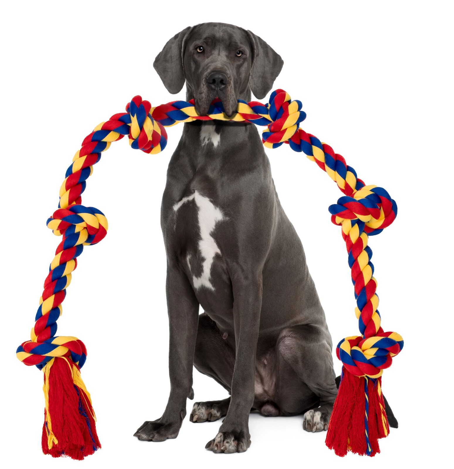 Interactive Dog Toys BLINCOO Elite 48 Inch 6 knots. - Image 12