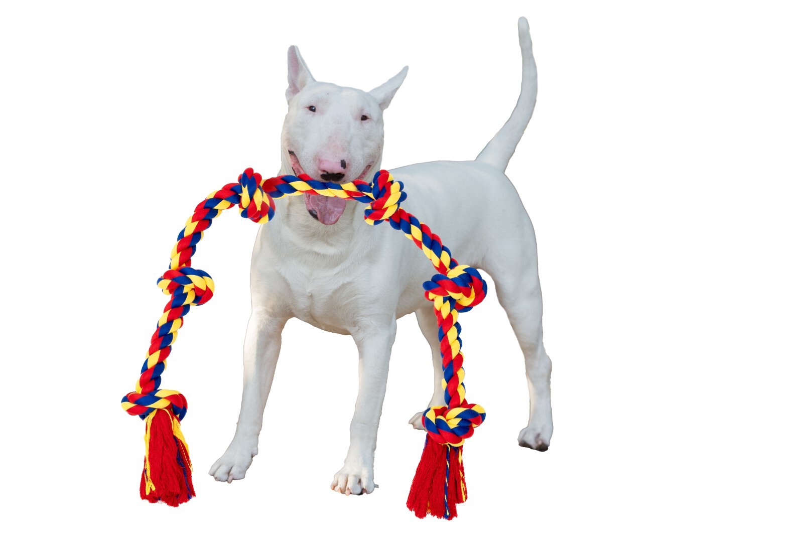 Dog Toy for Large Breeds for Tug of War Games, Durable 48 Inch 6 Knots - Image 17