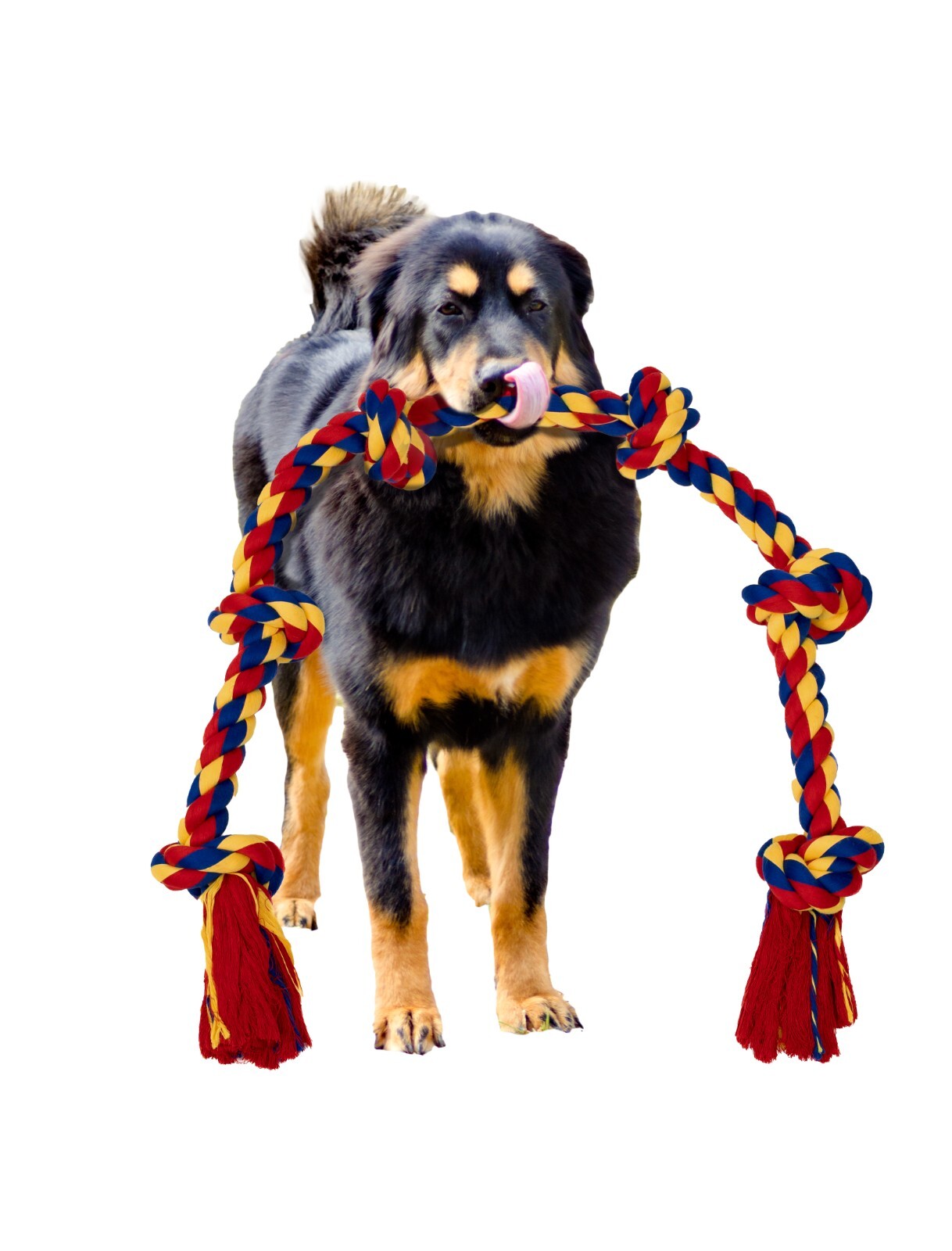 Dog Toy for Large Breeds for Tug of War Games, Durable 48 Inch 6 Knots - Image 21