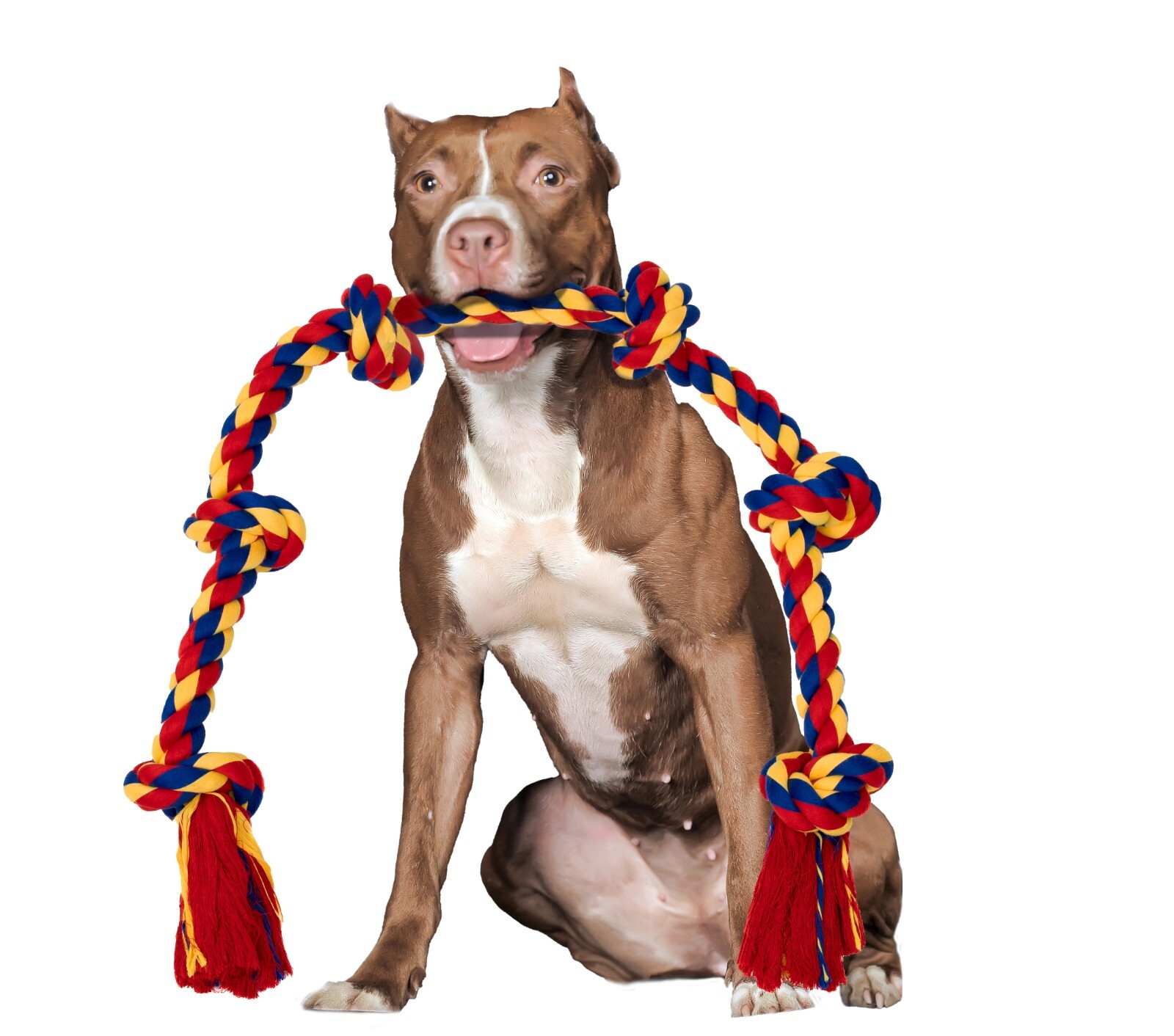 Dog Toy for Large Breeds for Tug of War Games, Durable 48 Inch 6 Knots - Image 24