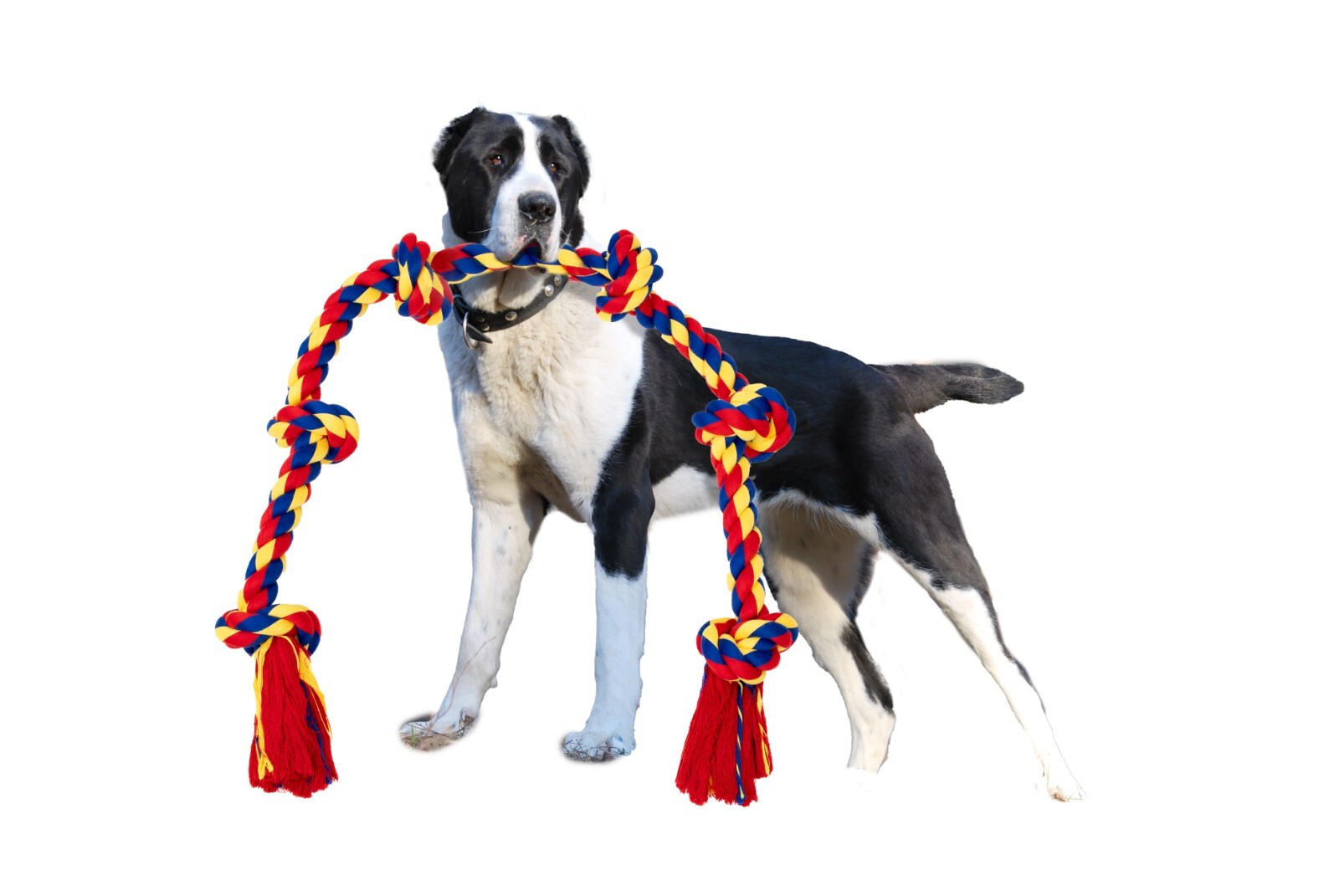 Giant Dog Rope Toy for Extra Large Dogs - 48 Inch Long 6 Knot XXL Dog Rope Toy - Image 12