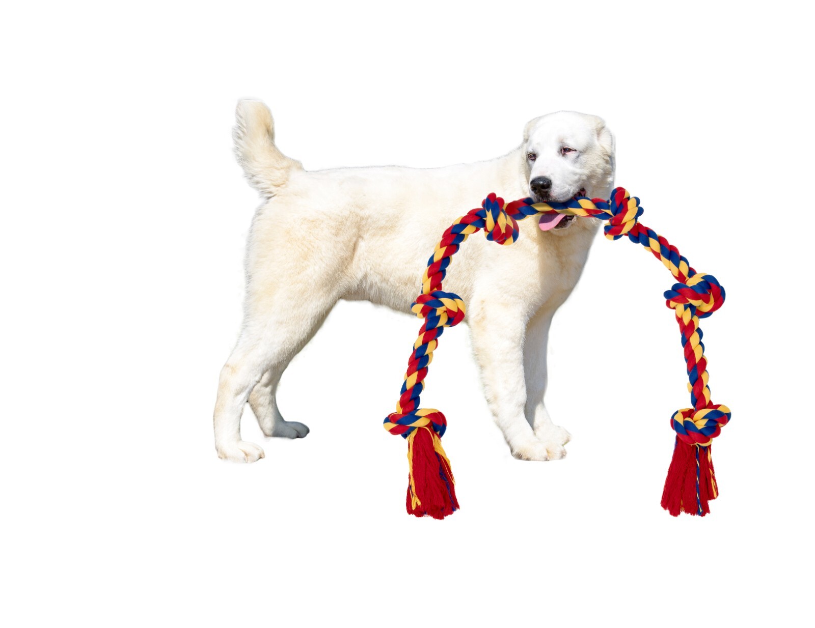 Giant Dog Rope Toy for Extra Large Dogs - 48 Inch Long 6 Knot XXL Dog Rope Toy - Image 10