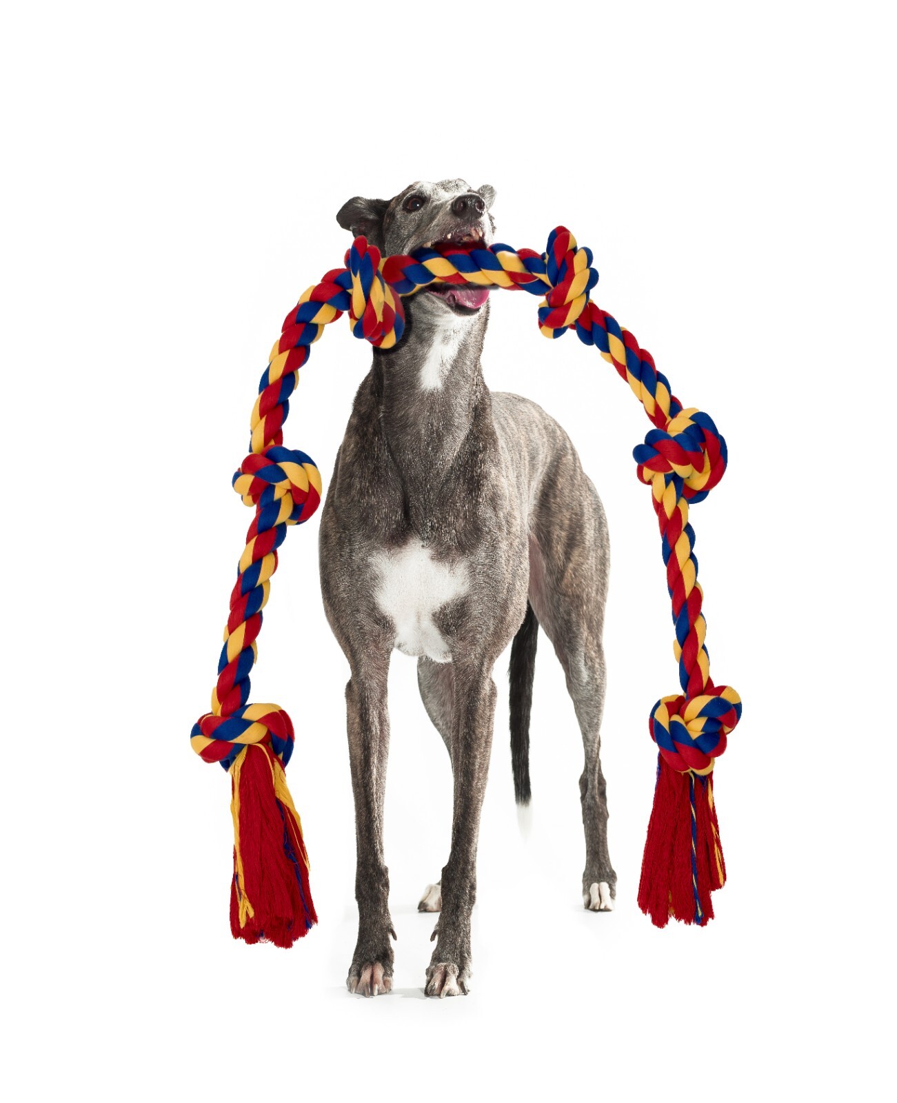 Pet toys for dogs , long 4 feet Rope Tug of War and Interactive Fun! - Image 23