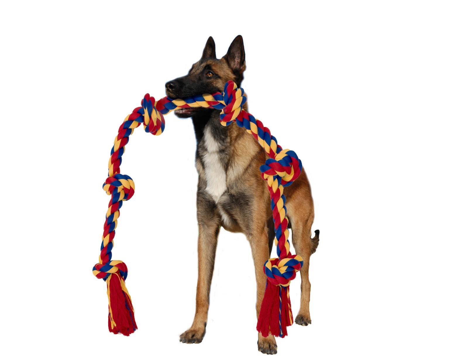 Pet toys for dogs , long 4 feet Rope Tug of War and Interactive Fun! - Image 24