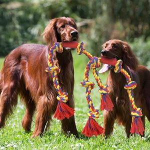 Pet toys for dogs , long 4 feet Rope  Tug of War and Interactive Fun!