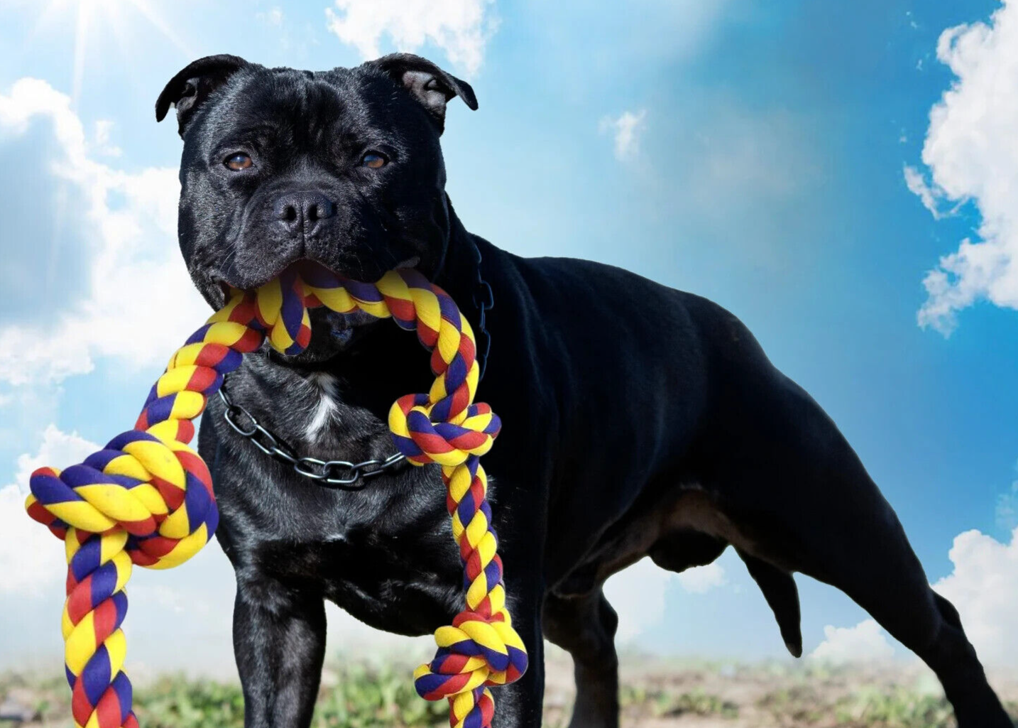 Pet toys for dogs , long 4 feet Rope Tug of War and Interactive Fun! - Image 10