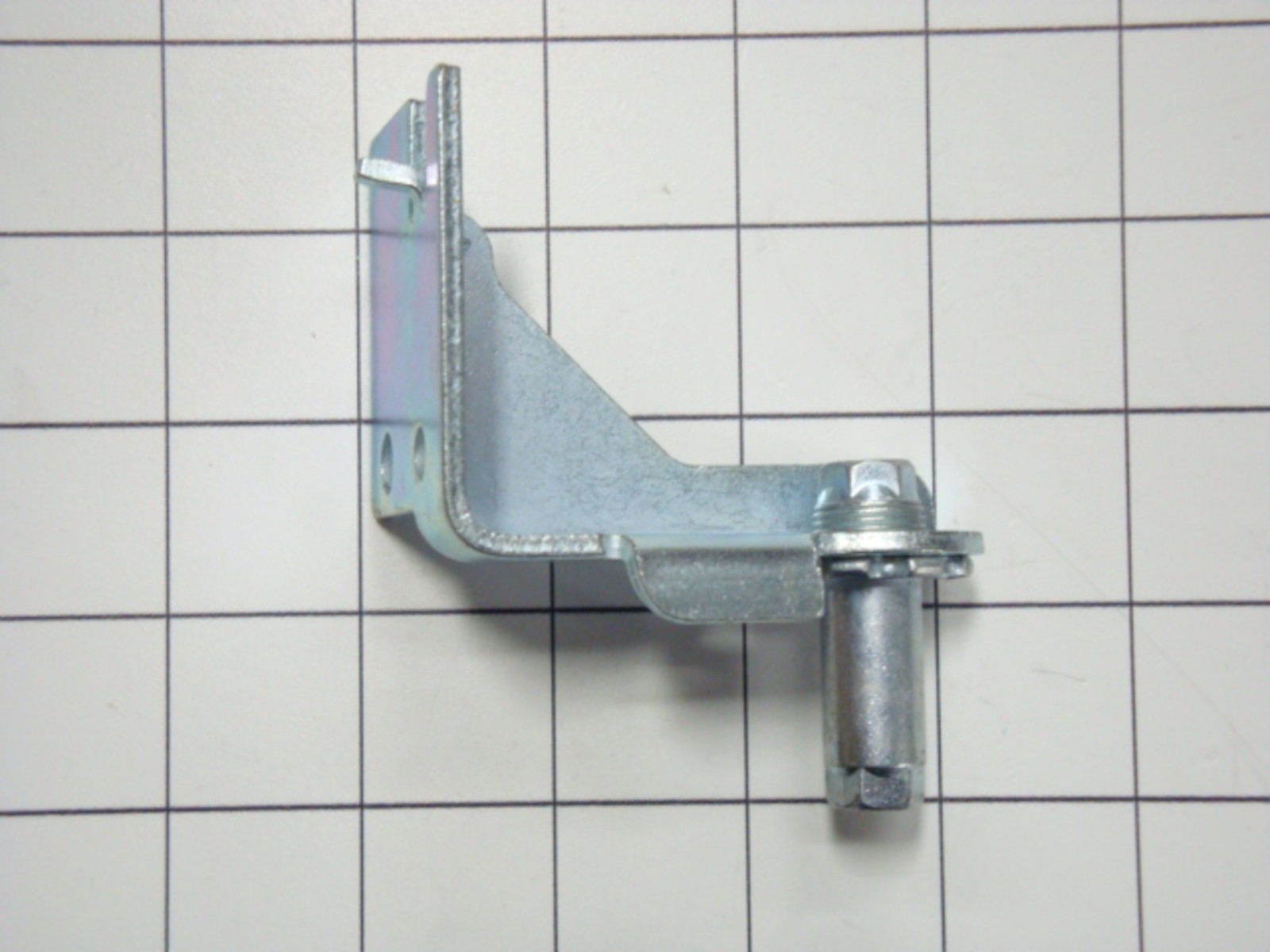 OEM 242034601 Bracket Lower Hinge
