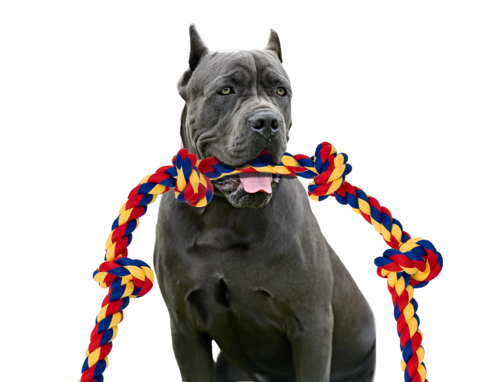 BLINCOO Dogs Rope Toys, 48" Inch with 6 knots Interactive Strong Durable Tug - Image 22