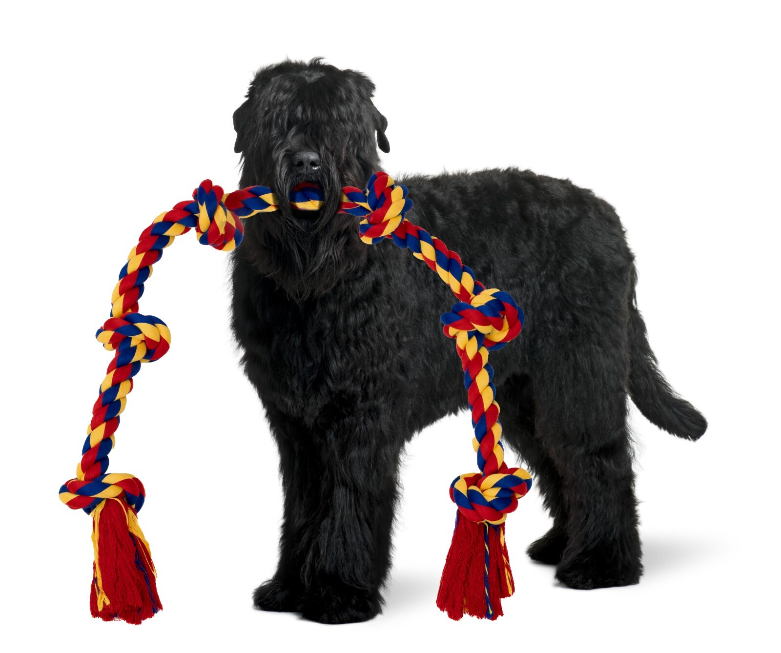 BLINCOO pet toys for dogs rope toy, 48 inch 6 knots Interactive! - Image 25
