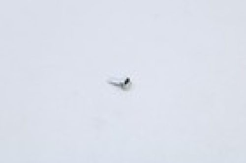 1 of EBD62065301 LG Sensor Assembly OEM Replacement, NEW FAST SHIP Fits Many ... - Image 9