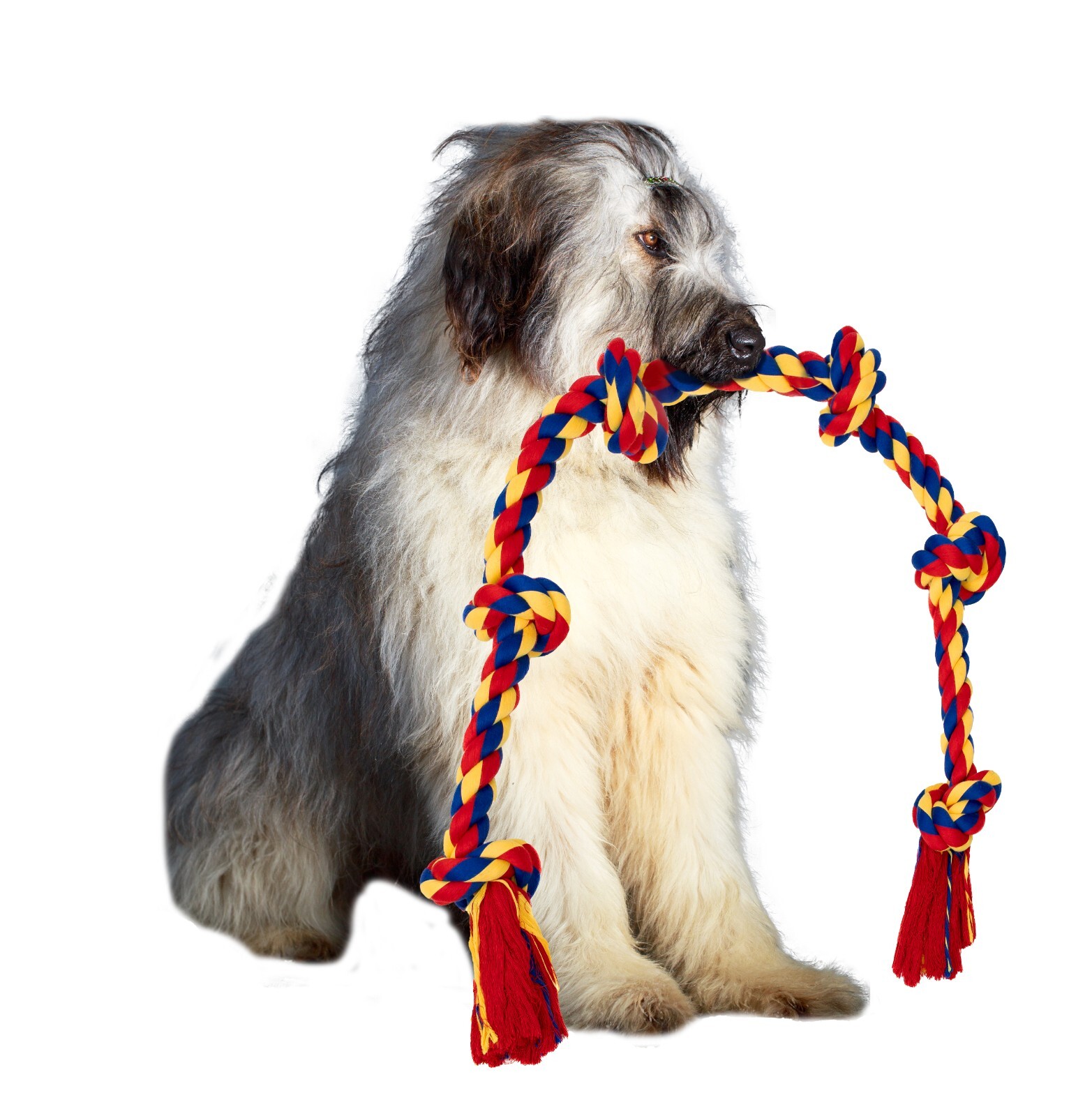 DISCONTINUED - Image 11