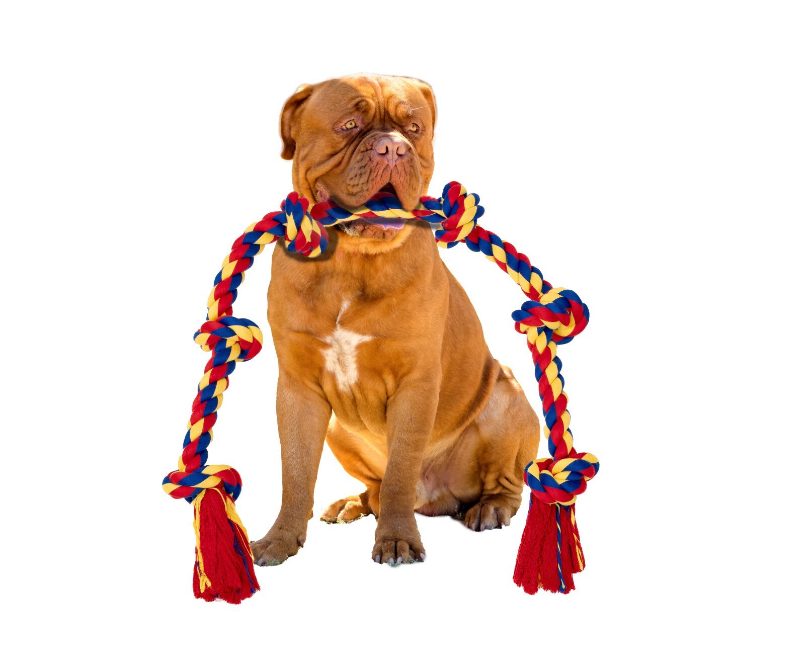 DISCONTINUED - Image 12