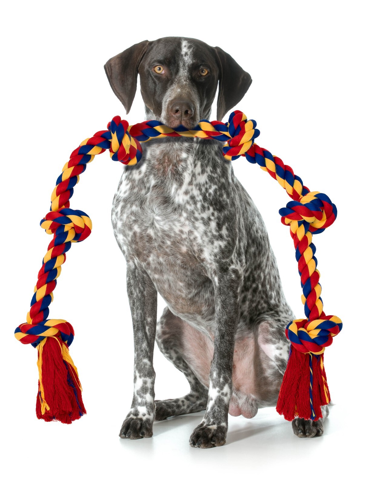 DISCONTINUED - Image 9