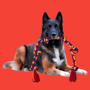 Best Interactive Dog Toys for Boredom Relief - Fun & Engaging Toys