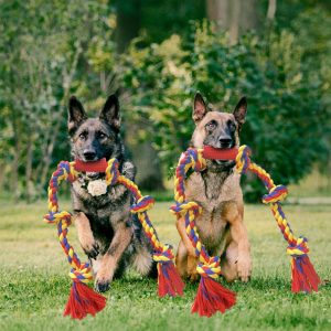 Big knots XXXL Unbreakable Dog Rope Toy for Large Breeds - BLINCOO Elite 48"