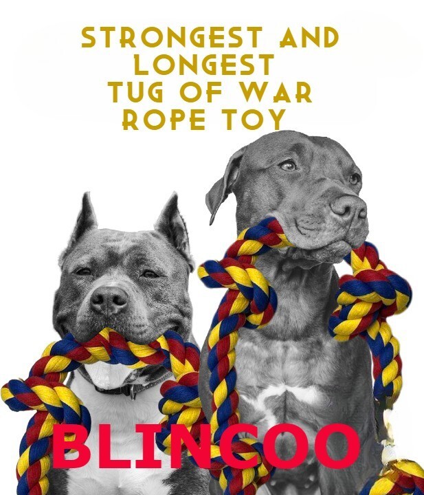 Big knots XXXL Unbreakable Dog Rope Toy for Large Breeds - BLINCOO Elite 48" - Image 3