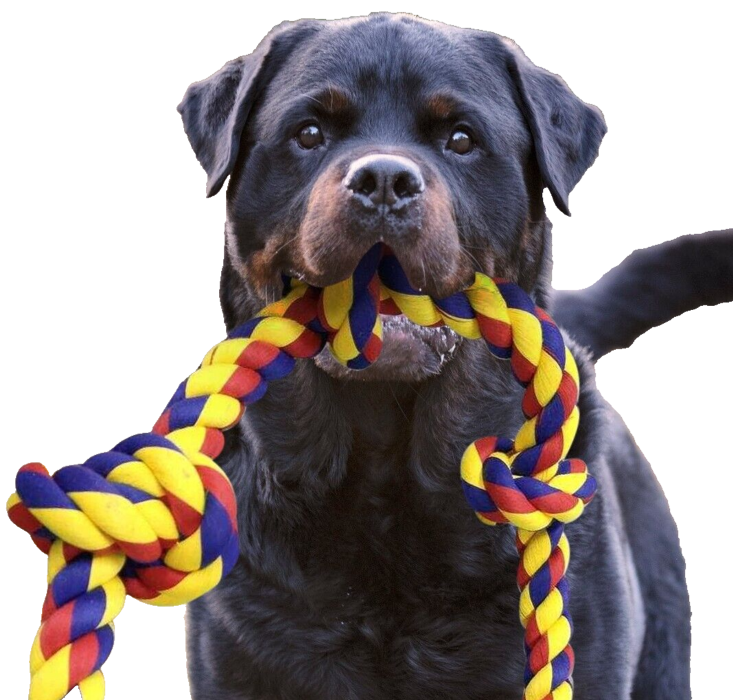 Giant Dog Rope Toy for Large Dogs - 48 Inch, 6 knots Interactive durable toy - Image 3