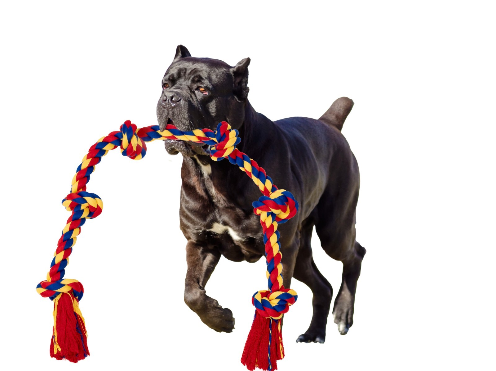 Giant Dog Rope Toy for Large Dogs - 48 Inch, 6 knots Interactive durable toy - Image 22
